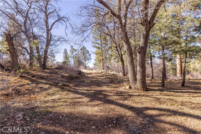 Detail Gallery Image 4 of 31 For 1110 Central, Big Bear City,  CA 92314 - – Beds | – Baths