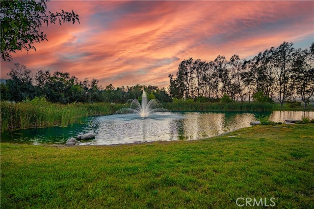 26465 Douglas Avenue, Murrieta CA: https://media.crmls.org/medias/c9151b5c-1737-473f-83a9-479691046780.jpg
