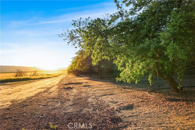 Detail Gallery Image 20 of 33 For 0 I5/Shields, Firebaugh,  CA 93622 - – Beds | – Baths