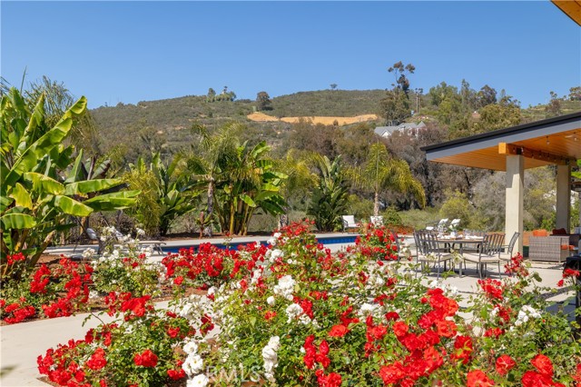 1088 Via Conca Doro, Vista CA: https://media.crmls.org/medias/c91fa8ee-3c62-40b0-a034-edd2b0a858ce.jpg