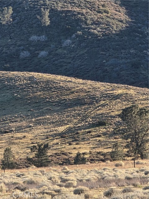 Detail Gallery Image 29 of 29 For 25 3points, Lake Hughes,  CA 93532 - – Beds | – Baths