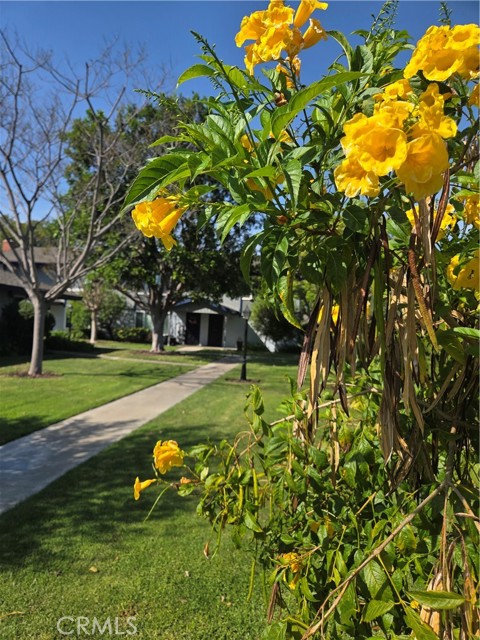 Detail Gallery Image 28 of 34 For 1107 W Memory Ln 6c,  Santa Ana,  CA 92706 - 2 Beds | 1/1 Baths