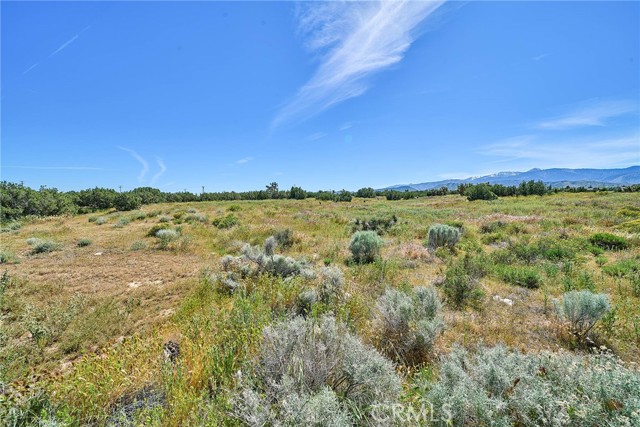 Detail Gallery Image 11 of 11 For 0 Phelan, Phelan,  CA 92371 - – Beds | – Baths