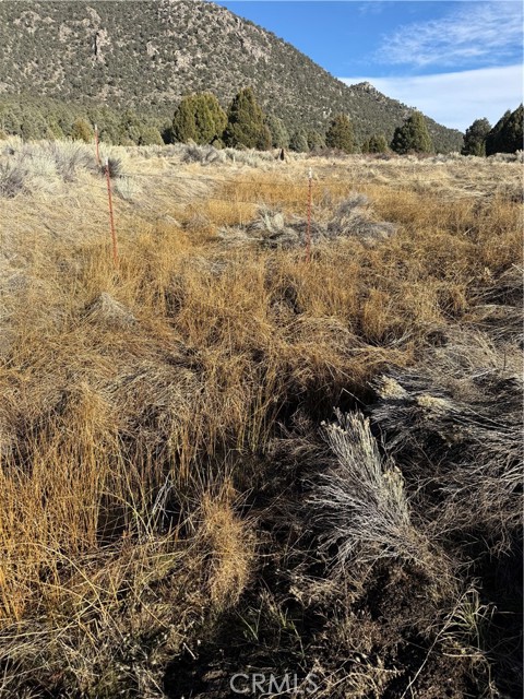 Detail Gallery Image 6 of 10 For 0 310-190-028 Sacatar Ranch Rd, –,  CA 93527 - – Beds | – Baths