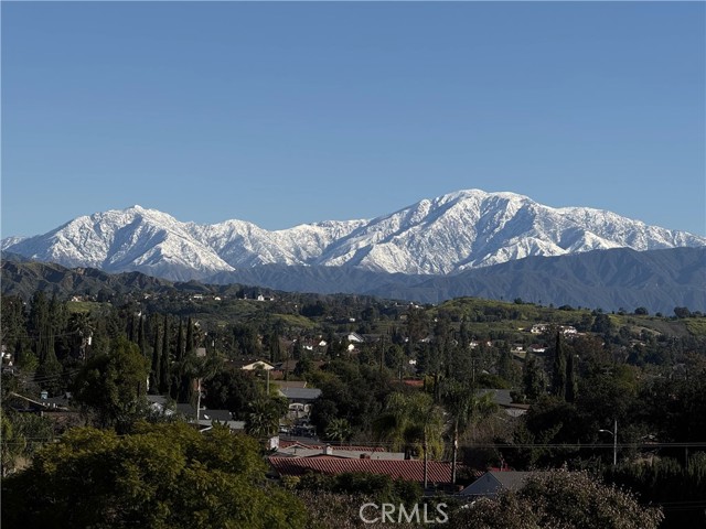 Detail Gallery Image 21 of 23 For 309 Camino De Gloria, Walnut,  CA 91789 - 4 Beds | 3/1 Baths