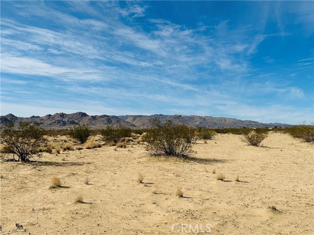 Detail Gallery Image 9 of 10 For 2 Sun Loma Rd, Joshua Tree,  CA 92252 - – Beds | – Baths