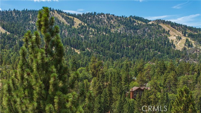 Detail Gallery Image 8 of 26 For 43805 Colusa Dr, Big Bear Lake,  CA 92315 - – Beds | – Baths