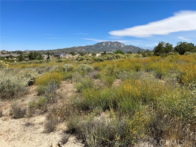 49320 Arroyo Way, Aguanga, CA, 92536 49320 Arroyo Way, Aguanga, CA, 92536
