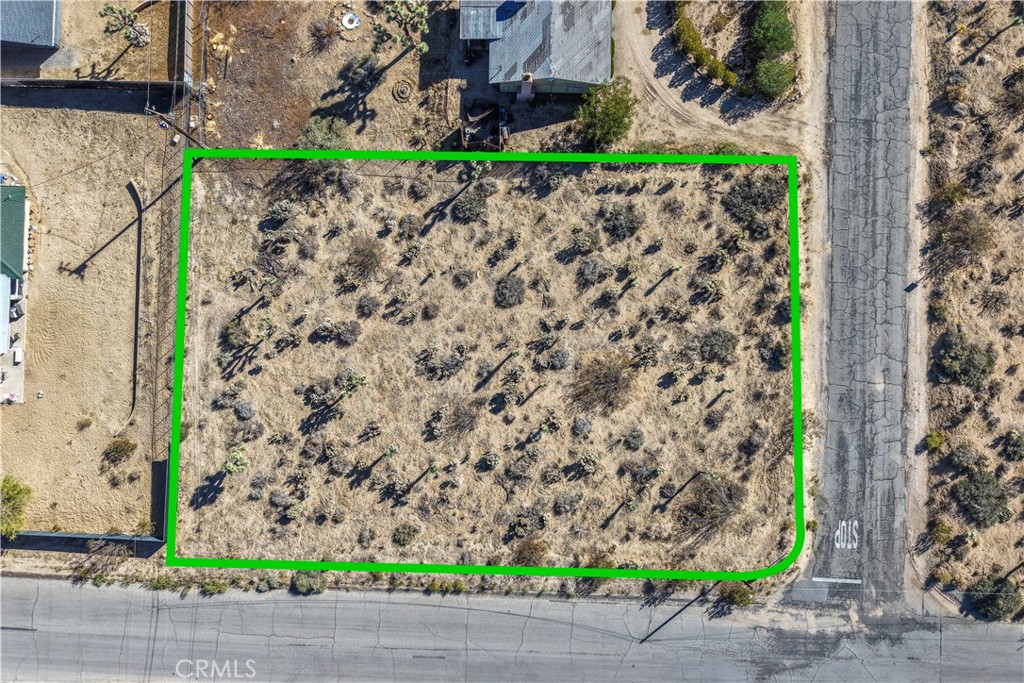 MLS #JT25246779 image #11