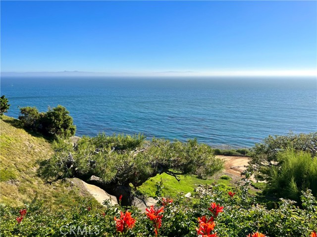 Community View