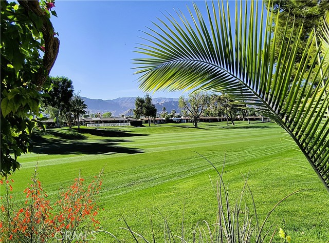 Detail Gallery Image 48 of 71 For 6 Whittier Ct, Rancho Mirage,  CA 92270 - 3 Beds | 3 Baths