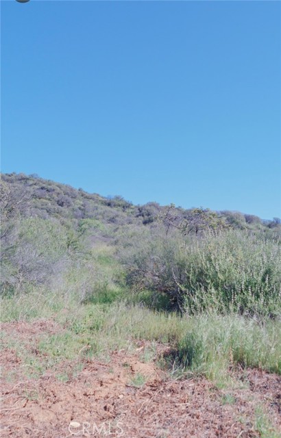 Front Image Thumbnail for CRIG26062879