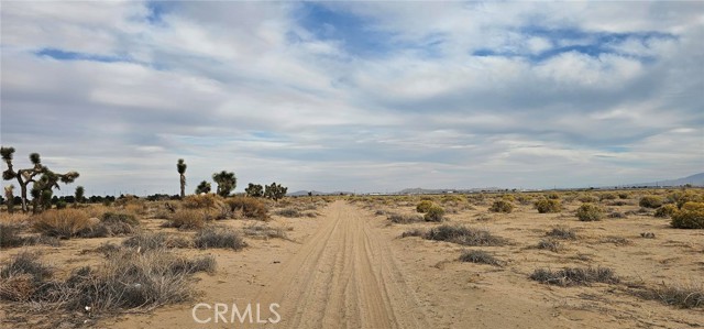 0 Avenue L4 / 23rd St E, Palmdale CA: https://media.crmls.org/medias/c94d48a0-dc92-442d-833b-cdf9f582cf85.jpg