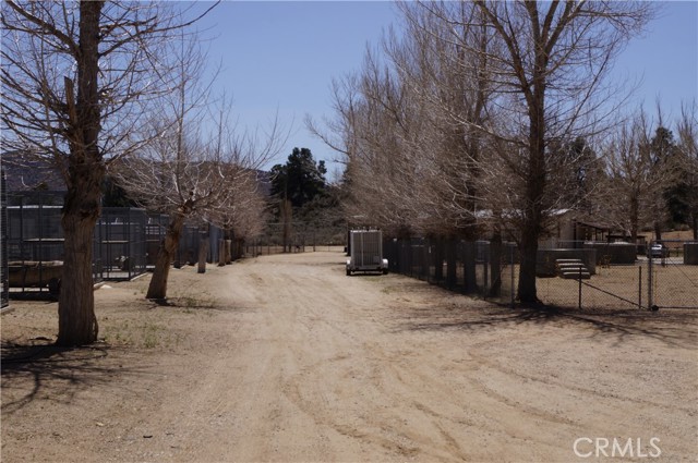 14466 Boy Scout Camp Road, Frazier Park, California 93225, 4 Bedrooms Bedrooms, ,3 BathroomsBathrooms,Residential,For Sale,14466 Boy Scout Camp Road,CRSW22074041