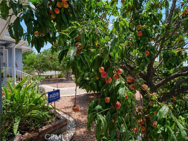 Detail Gallery Image 48 of 49 For 401 E Cherry Ave, Monrovia,  CA 91016 - 4 Beds | 2 Baths