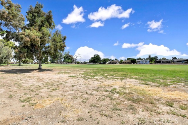 1428 Pepper Tree Drive, Hemet CA: https://media.crmls.org/medias/c959858d-7c16-4e08-8970-caee996c692d.jpg