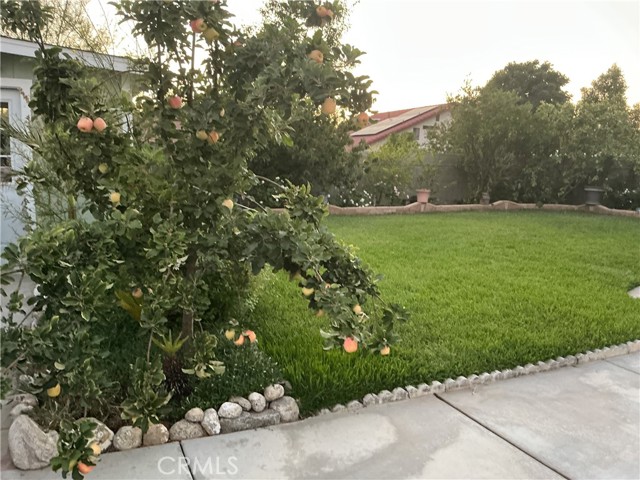 Detail Gallery Image 59 of 61 For 13711 Bearberry Dr, Moreno Valley,  CA 92553 - 4 Beds | 2/1 Baths