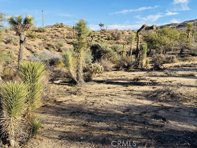 8000 Redden, Yucca Valley, CA, 92284 8000 Redden, Yucca Valley, CA, 92284