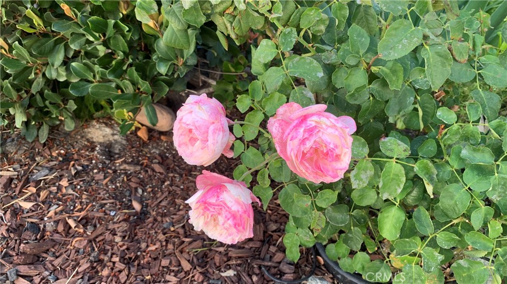 https://media.crmls.org/medias/c96420bc-47b8-4ade-93f2-d7560aab4939.jpg?preset=X-Large
