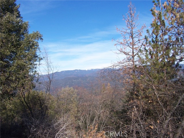 1 Jean Rd West, Oakhurst, California 93644, ,Land,For Sale,1 Jean Rd West,CRFR24055447