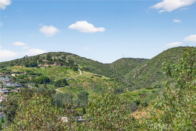 Detail Gallery Image 65 of 74 For 405 Blumont St, Laguna Beach,  CA 92651 - 5 Beds | 6/1 Baths