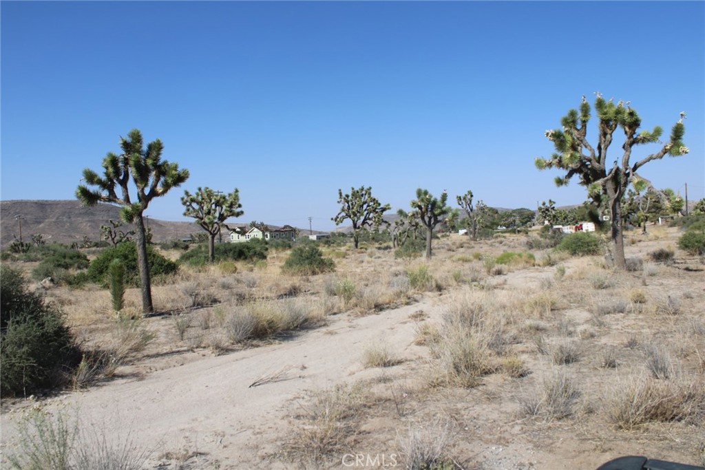 MLS #CV25150716 image #7