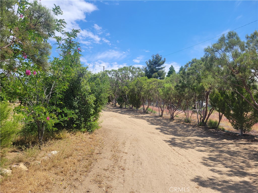 56400 Lubo Trail