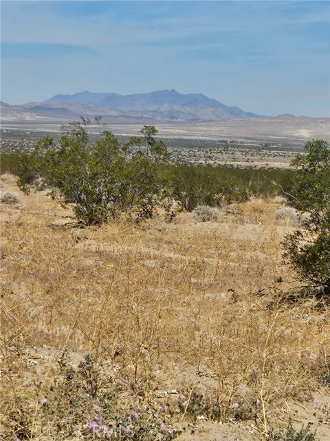 Detail Gallery Image 4 of 5 For 0 Covelo Rd, Johnson Valley,  CA 92285 - – Beds | – Baths