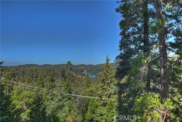 28545 Wabash Drive, Lake Arrowhead CA: https://media.crmls.org/medias/c9748cc7-8b19-4822-adb6-eb24004c7734.jpg