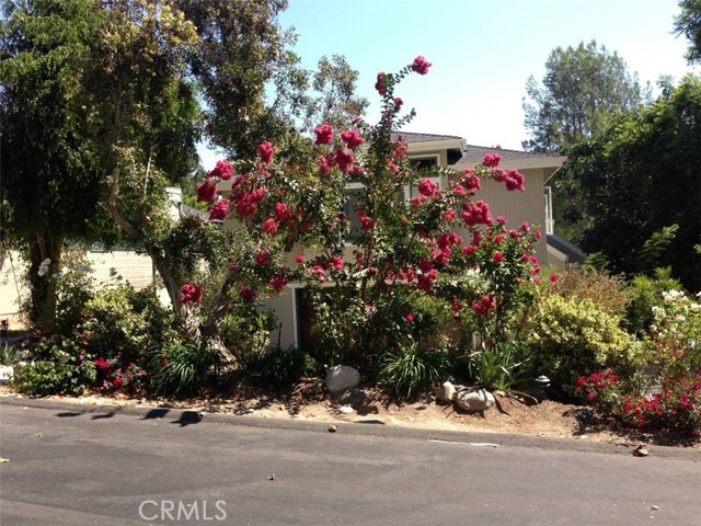 31732 Via Coyote, Trabuco Canyon CA: https://media.crmls.org/medias/c9755ea0-75d6-428d-b49b-e560091bb513.jpg