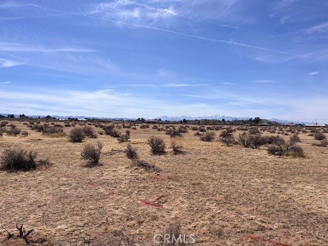 MLS #HD25222307 image #7