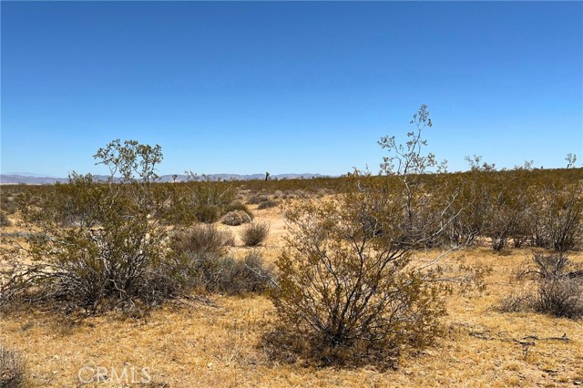 Detail Gallery Image 5 of 10 For 0 Willie Way, Joshua Tree,  CA 92252 - – Beds | – Baths