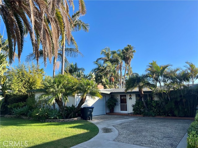 Front Image Thumbnail for CROC25234778