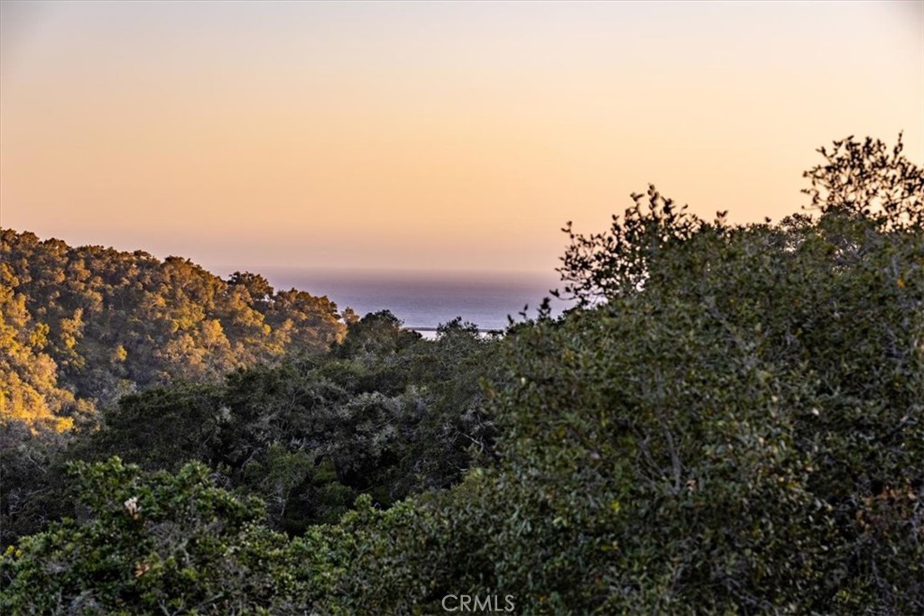 https://media.crmls.org/medias/c9925eeb-1e5d-4de0-ab1e-78dd05f13dba.jpg?preset=X-Large