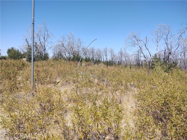 Front Image Thumbnail for CROR26086906