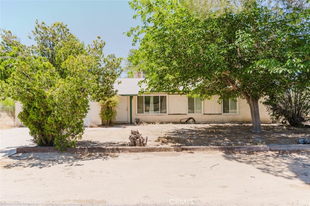 40155 176th Street E