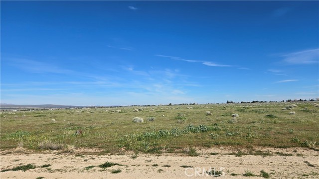 Detail Gallery Image 18 of 39 For 0 Avenue B-8 Vicinity 265th St W, –,  CA 93536 - – Beds | – Baths