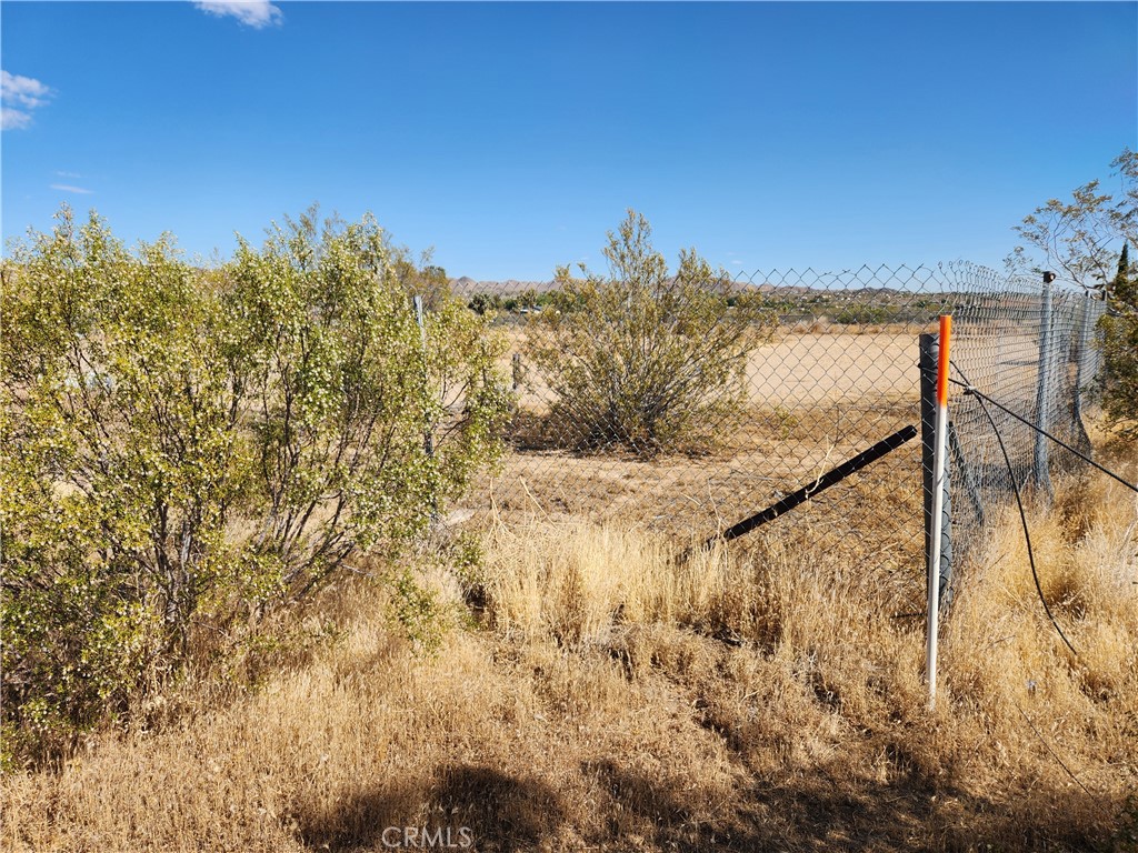 MLS #HD25223462 image #4