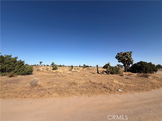 Front Image Thumbnail for CRIV26181084