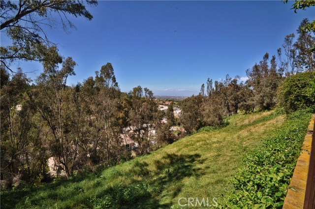 3463 Tanglewood Lane, Rolling Hills Estates, California 90274, 9 Bedrooms Bedrooms, ,6 BathroomsBathrooms,Residential,Sold,Tanglewood,PV17073762