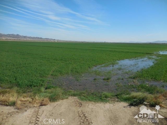 MLS #216029032DA image #14