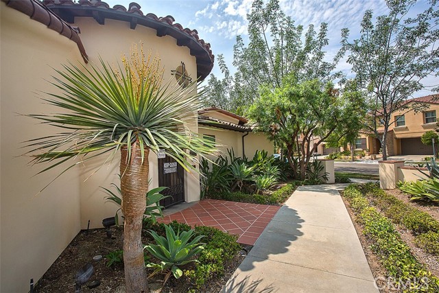 Detail Gallery Image 61 of 74 For 36 Royal Grove, Irvine,  CA 92620 - 4 Beds | 4 Baths