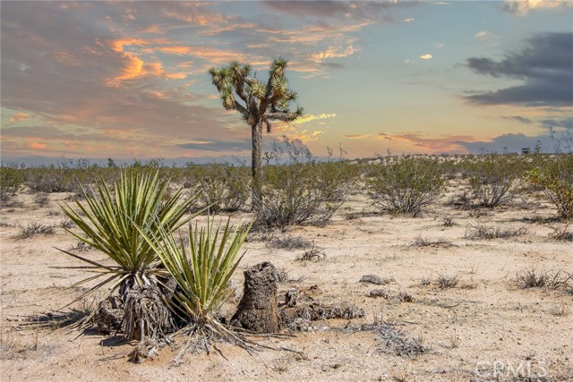 Detail Gallery Image 4 of 19 For 0 Sunny Sands, Joshua Tree,  CA 92252 - – Beds | – Baths
