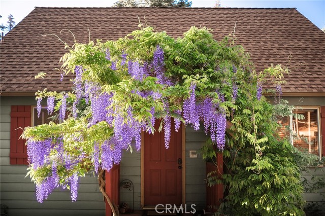 278 Mittry Lane, Lake Arrowhead CA: https://media.crmls.org/medias/c9c04495-a780-4837-9d22-250d0db29533.jpg