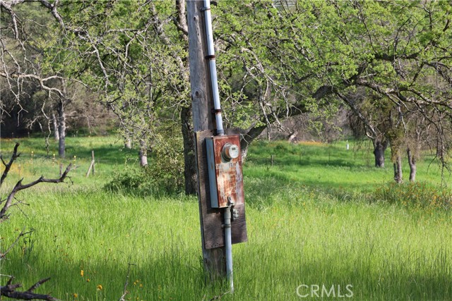 Detail Gallery Image 12 of 32 For 0 Douglas Rd, Coarsegold,  CA 93614 - – Beds | – Baths