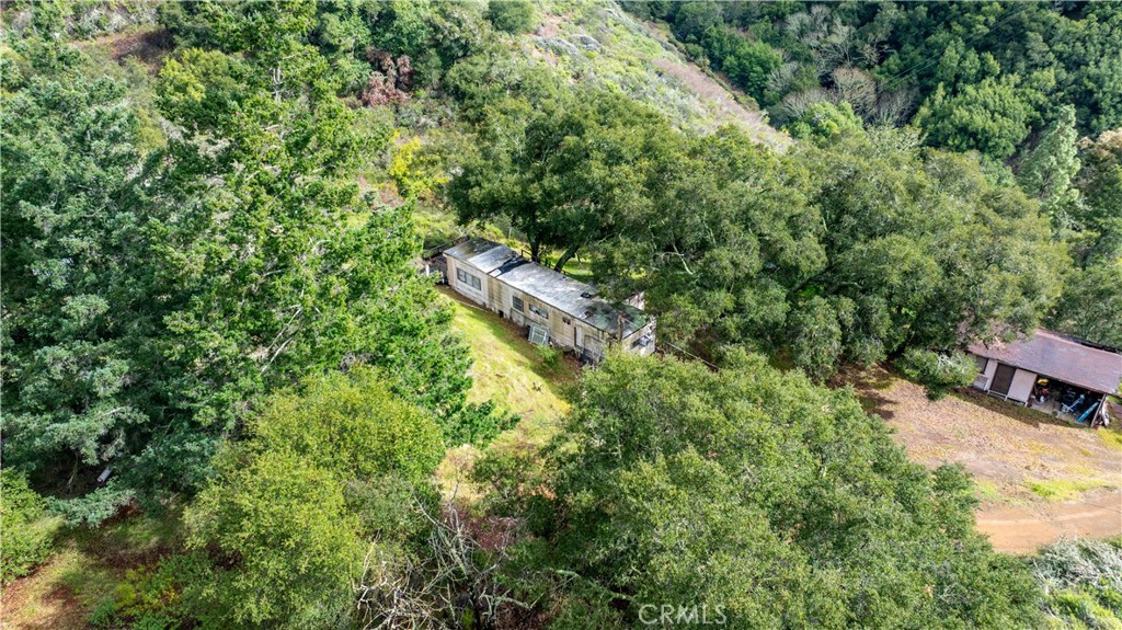 3395 Wallace Mountain Road