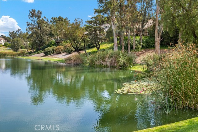 Detail Gallery Image 29 of 38 For 7716 E Twinleaf Trl, Orange,  CA 92869 - 4 Beds | 2/1 Baths