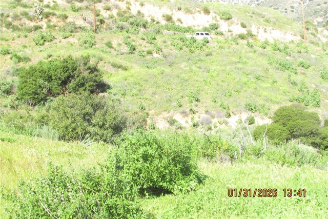 Detail Gallery Image 37 of 51 For 8001 Denivelle Rd., Sunland,  CA 91040 - – Beds | – Baths