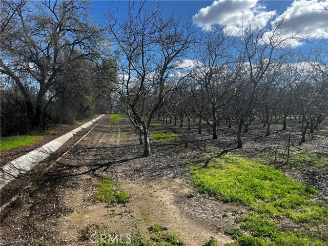 Detail Gallery Image 11 of 15 For 3900 Stephens Rd, Corning,  CA 96021 - 2 Beds | 1 Baths