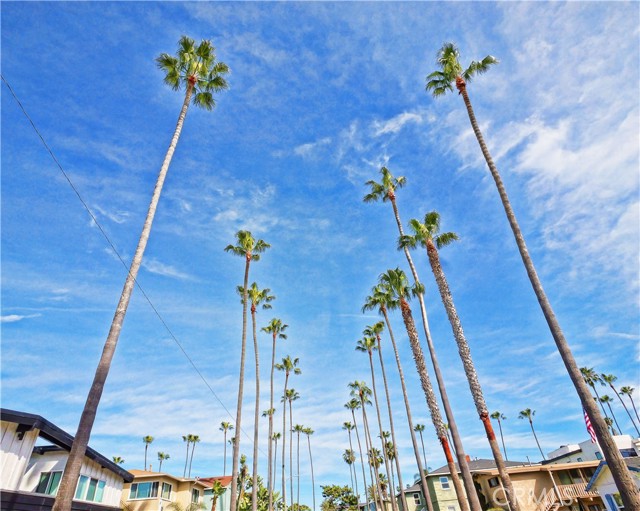 Detail Gallery Image 28 of 36 For 105 Paseo De La Playa #F,  Redondo Beach,  CA 90277 - 3 Beds | 3/1 Baths